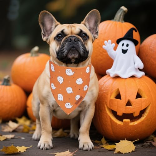 Dog Halloween Bandana (Small / Halloween-2)