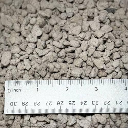Horticultural Pumice for Plants (Pumice for Plants / 5 qt)