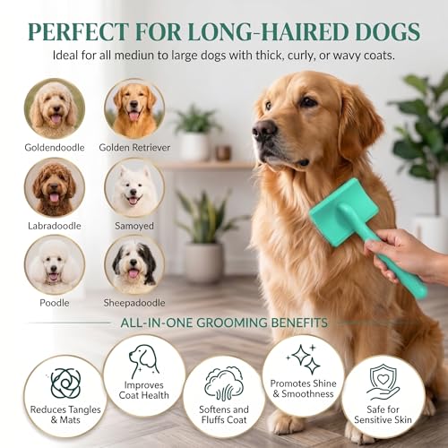 Slicker Brush for Dog (Large / Green)