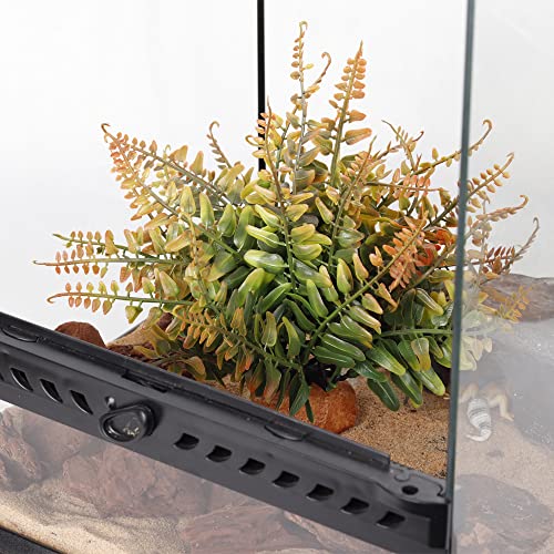 Fall Colors Boston Fern (J-fake Fall Colors Boston Fern)