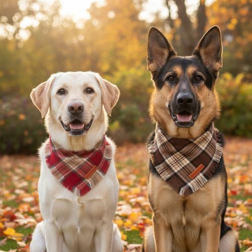 Fall Dog Bandanas with Fringe (X-Large / Rust Brown)