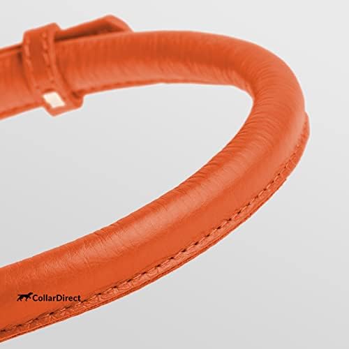 Tangle Free Rolled Leather Dog Collar (Orange / M)