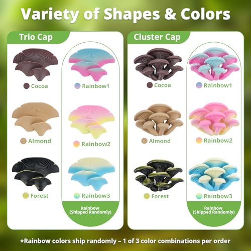 Mushroom Decor for Reptile Tank (Cluster Cap / Rainbow)