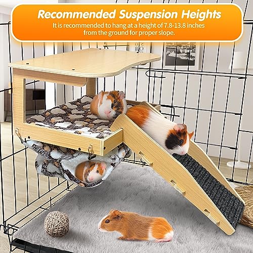 Guinea Pig Hideout