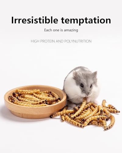 Small Animal Snack & Treats