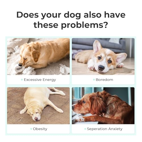 Interactive Dog Toys (Medium)