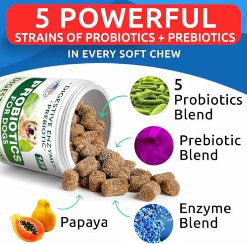 Probiotics for Dogs (Probiotic Chews / 240Ct (Chicken))