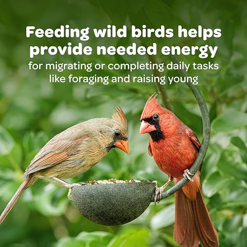 Wild Finch Bird Food Stand Up Bag (5 Pound (Pack of 1))
