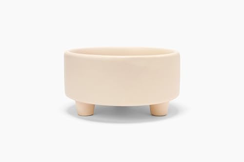 Uplift Elevated Ceramic Dog Bowl (Small / Buttercream)