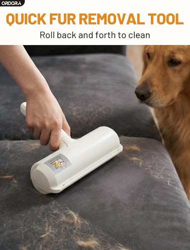 Pet Hair Remover Roller (A:white)