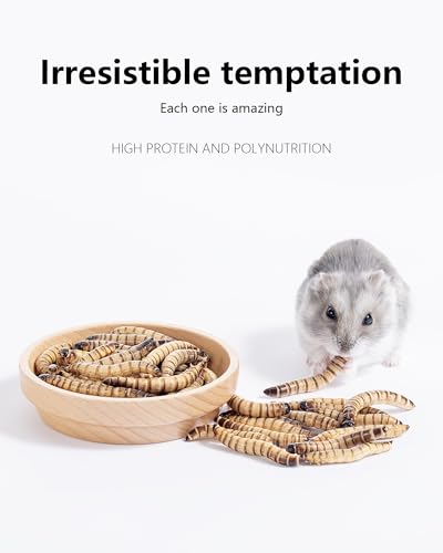 Small Animal Snack & Treats