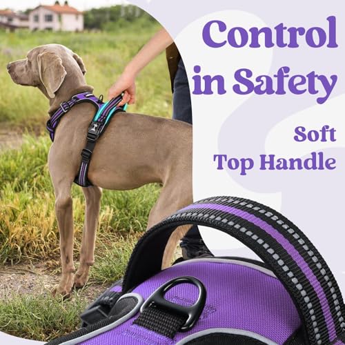 Dog Harness for Large (Large / Purple)