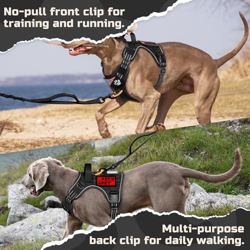 Tactical Dog Harness for Medium (Black / Medium)