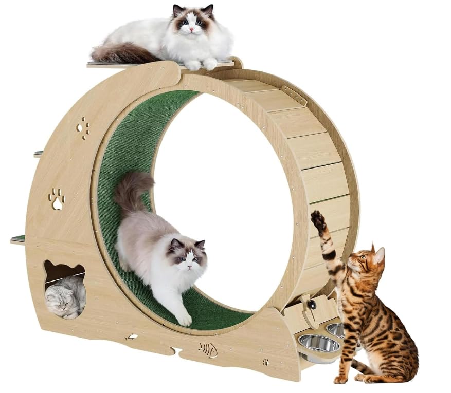 55" Multi Cat Exercise Wheel with 3