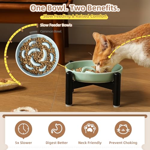 Elevated Ceramic Slow Feeder Cat Bowl (Blue Raised (Metal) / 3.9"H Raised (Metal))