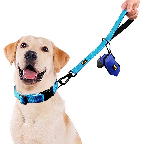 Short Training Dog Leash with Padded Handle for Medium Large Big Dogs (Blue / 18 Inch (Pack of 1))