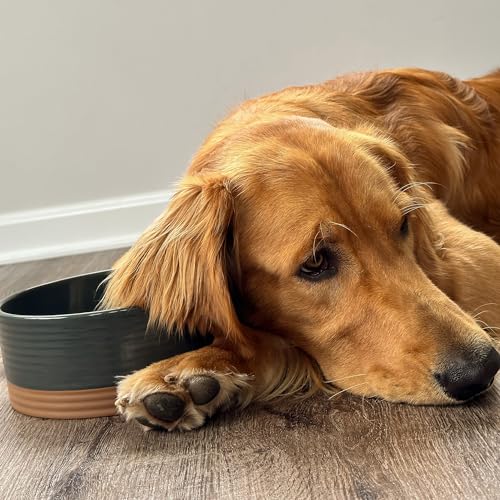 Ceramic Pet Bowl Size Medium (Medium / Charcoal)