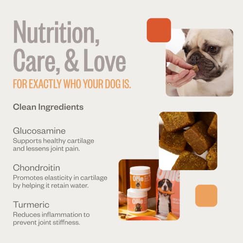 Zoomies Hip & Joint Supplement