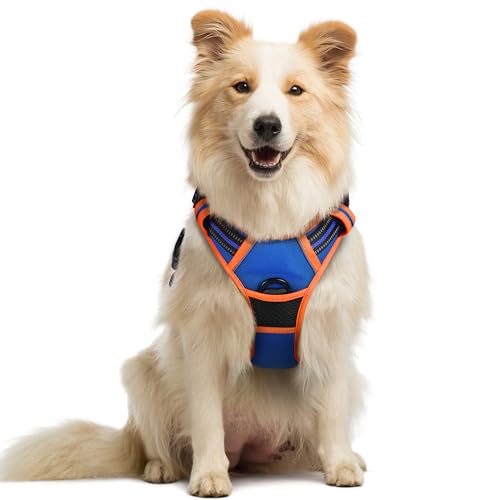 Dog Harness No Pull Medium Sized with 2 Leash Clips (Medium / Blue & Orange)