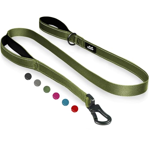 5FT 1IN Heavy Duty Dog Leash for Large Dogs with 2 Padded Handles (Green / 1 in x 5 ft)