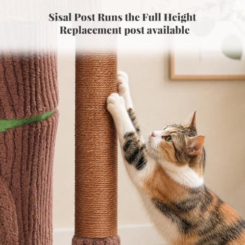 Tree Trunk Cat Tree with 2 Enclosed Caves and Sisal Scratching Post (Stump Brown)