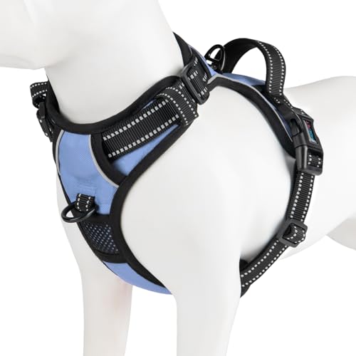 No Pull Dog Harness Reflective Adjustable with 2 Metal Leash Hooks (Small / Baby Blue)