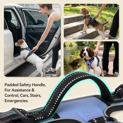 No Pull Dog Harness Reflective Adjustable with 2 Metal Leash Hooks (Small / Baby Blue)