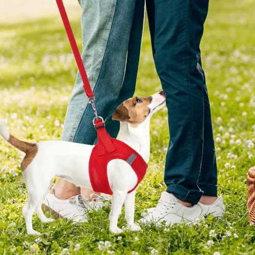 Dog Harness Collar and Leash Set No Pull for Small Medium Sized (Solid Red / S (CHEST 14.5"-16"))