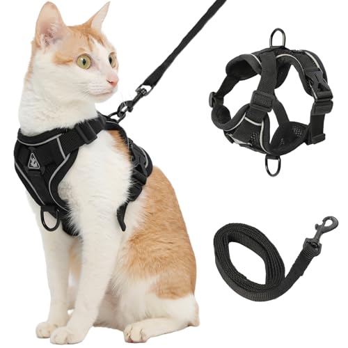 Cat Harness and Leash (Small / Black)