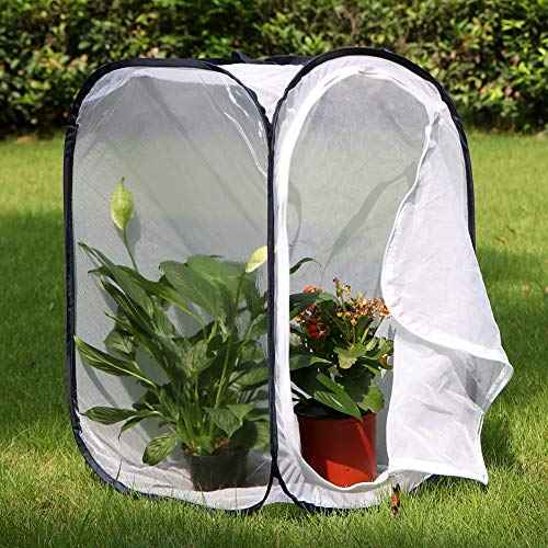 Insect and Butterfly Habitat Cage Terrarium Pop (White With Black / 15.7 x 15.7 x 23.6 inches)