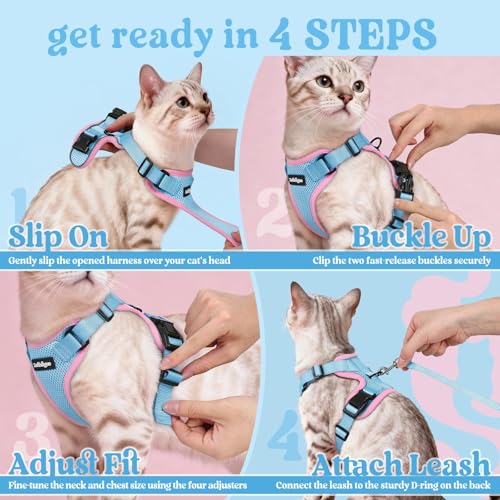 Cat Harness and Leash Set (Xs / Light Blue & Pink)