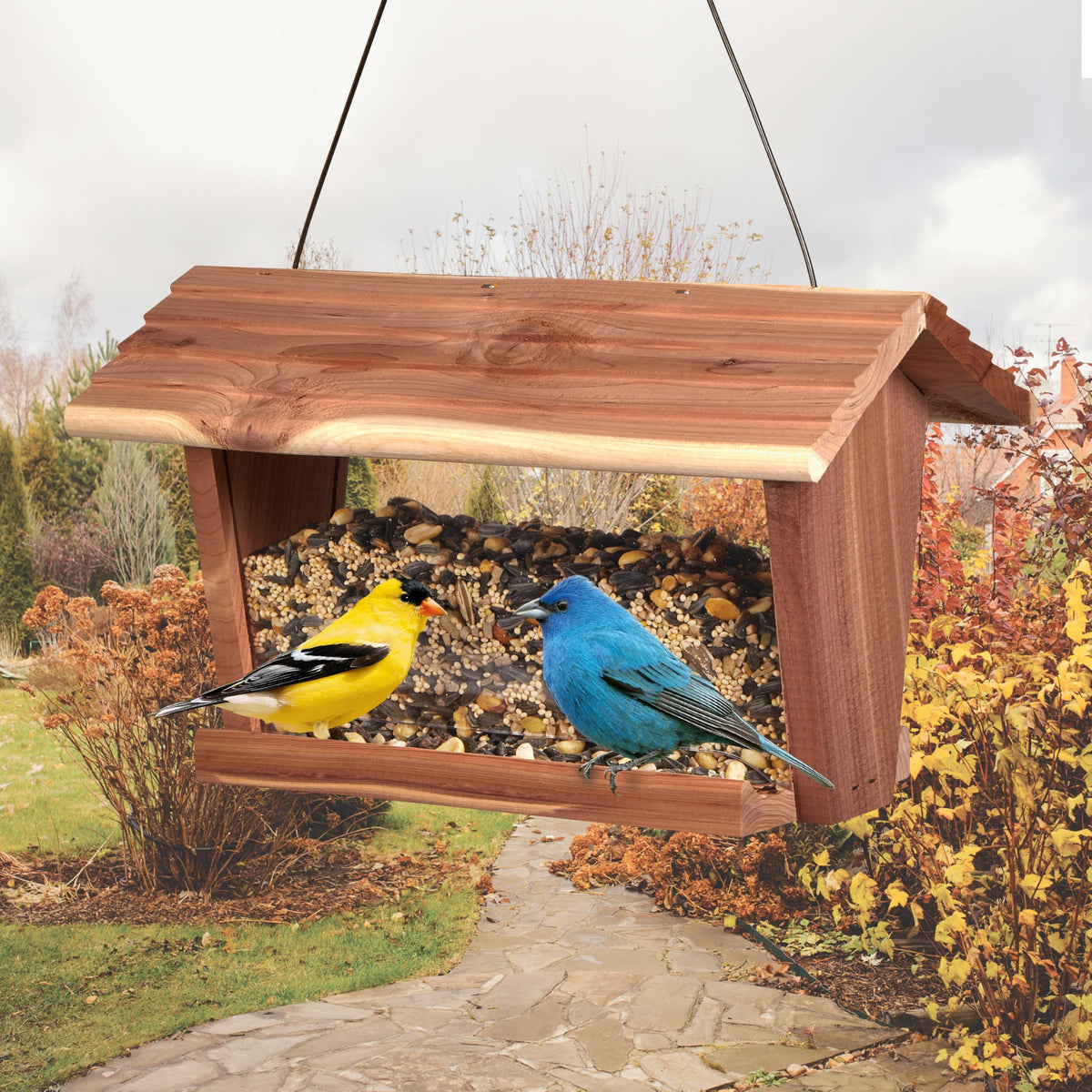 Wild Bird Food (Fall Migration)