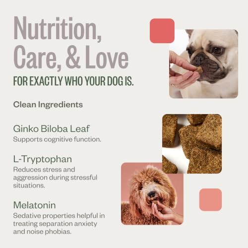 Chill Pills Calming Supplement Chews