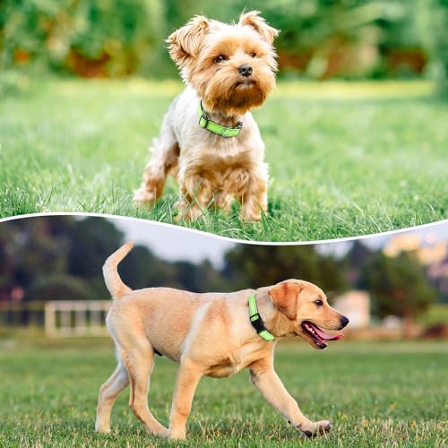 Reflective Dog Collar (Green / S:width 5/8"neck 10.5-16")