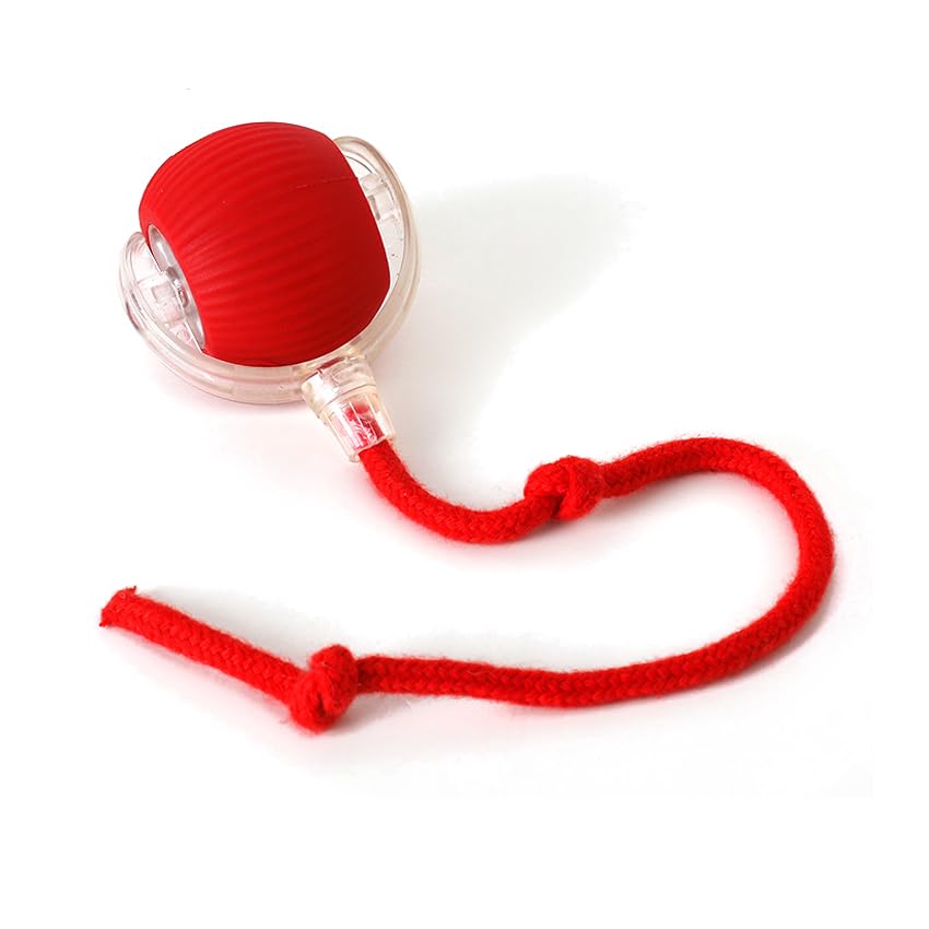 Cat and Small Dog Toy Ball with Tail Rope (Red)