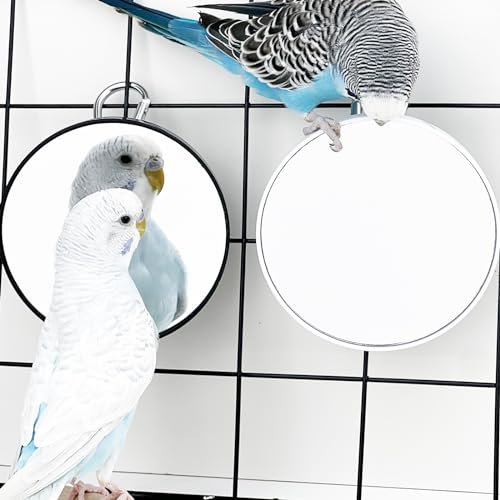 2PCS Bird Mirror Toy for Cage