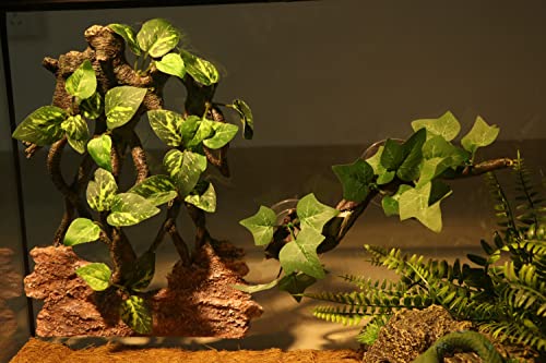 Reptile Climb Tree Branch Rock Background Decoration with Suction Cup for Terrarium Amphibian Lizard Snake (Terrarium Background)