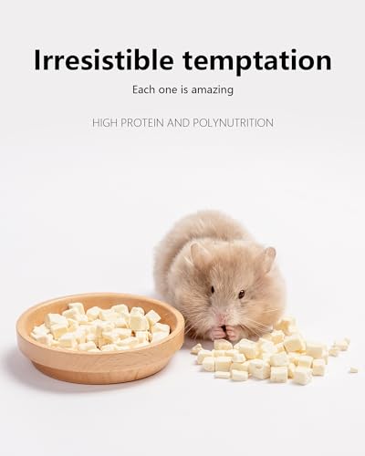 Hamster Snack & Treats Toy