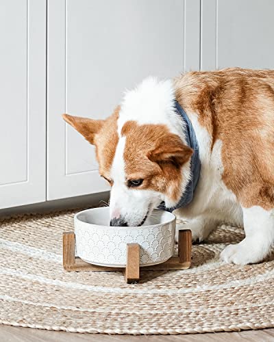 Ceramic Dog Bowls for Large Dogs (Fireworks / L-5 Cup)