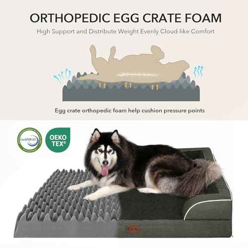 Orthopedic Dog Bed for Extra Large Dogs (Dark Green / 53.0"L x 42.0"W x 8.5"Th)