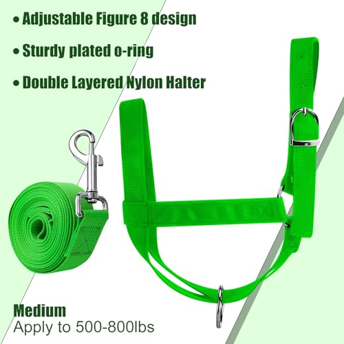 Cow Halter Adjustable with Leading Rope (Large / Green)