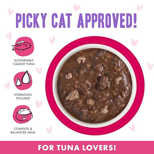 B.F.F. OMG Best Feline Friend Oh My Gravy! (2.8 Ounce (Pack of 12))