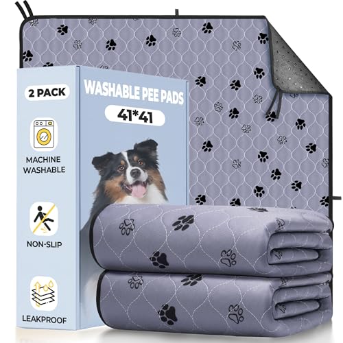 Washable Dog Pee Pads (Gray / 41*41 Inch (Pack of 2))