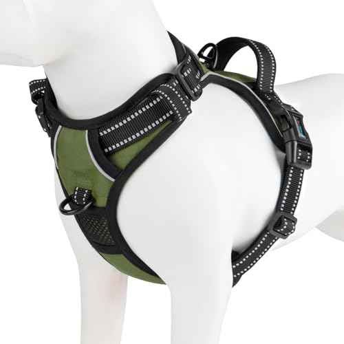 No Pull Dog Harness with Handle Reflective Padded Vest (Small / Misty Green)