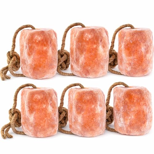 Himalayan Salt Lick 3 lbs On Rope for Horse (3 Pound (Pack of 6))
