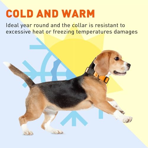 Biothane Waterproof Dog Collar with Quick Release Buckle Strong Coated Nylon Webbing with Odor (5/8"W by 10-14"L / Tangerine Orange)