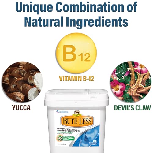 Bute Less Comfort & Recovery Support Supplement (160 oz)