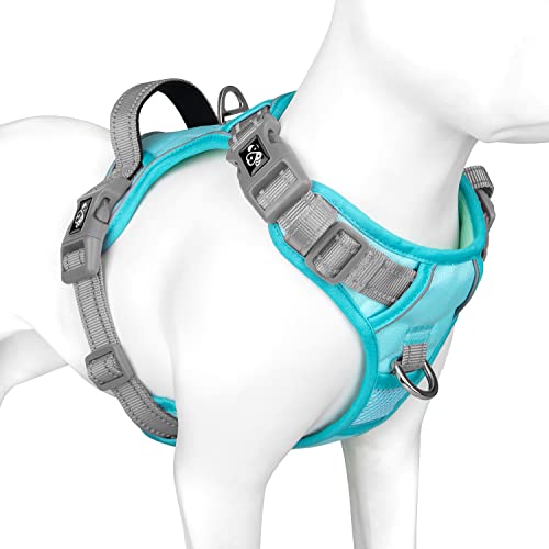No Pull Dog Harness (Mint Green Base & Grey Straps / Small)
