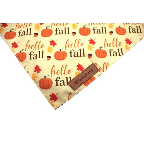 Fall Dog Bandanas 2 Pack (Autumn / Large)