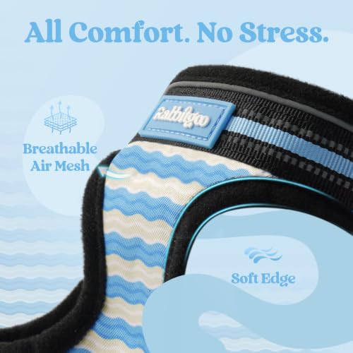 Cat Harness and Leash Set (M / Blue Wave)